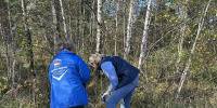 В Рузе прошел субботник в рамках проекта «Чистый лес» - РузаРИА