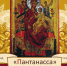 Фонд «Пантанасса»: жизнь больше, чем болезнь - Крестовский Мост