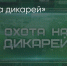 Поделитья во ВКонтакте - Братская Студия Телевидения