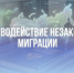 Жительницу Самары, прописавшую 37 мигрантов, отправили в колонию - Портал Все мы - Россия!