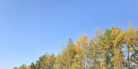 Настроение — осень - Газета Добринские вести