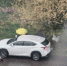Водителя Lexus RX оштрафовали за езду по тротуару в Самаре - Комсомольская Правда Самара