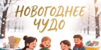 В Липецке стартовала добрая экологическая акция «Новогоднее чудо» - Город Липецк