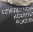 Несовершеннолетнему жителю Липецкой области предъявлено обвинение в мошенничестве в особо крупном размере - Следственный комитет