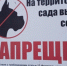 В Саратовской области зафиксировали 20 очагов бешенства с начала года - Газета Репортер