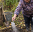 До Покрова — успевайте непременно: 5 важных осенних дел на огороде, которые надо успеть сделать до первого снега - ProDzer.Ru