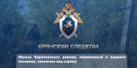 Житель Карачевского района, обвиняемый в поджоге человека, заключен под стражу - Следственный комитет