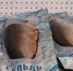 Квота на норвежскую сельдь может быть увеличена - SeverPost.ru
