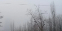 +19 градусов и сухо будет в Белгородской области в первый день октября - Комсомольская Правда