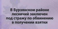 В Бурзянском районе лесничий заключен под стражу по обвинению в получении взятки - Следственный комитет