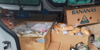 В Брянскую область не пустили полтонны подозрительной продукции - БрянскToday.Ru
