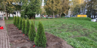 Аллея памяти бойцов СВО появится в Новом Свете - Гатчинская служба новостей