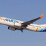 Посольство Израиля в РФ назвало попыткой теракта инцидент с самолётом Flydubai - Комсомольская Правда