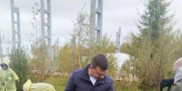 4 000 сосен на месте БЦБК: Сбер стал партнером международного лесовосстановительного форума - Baikal24.Ru