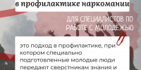 Метод равный равному. Для специалистов - БГИИК