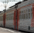Первокурсник погиб под электричкой после посвящения в студенты в Ленобласти - РТВ-Подмосковье