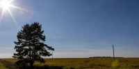 Картинка - Regions.Ru