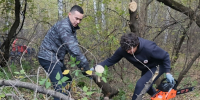 Спасти краснообскую рощу - Администрация Новосибирского района