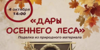 «ДАРЫ ОСЕННЕГО ЛЕСА» - ЦБС г. Ангарска