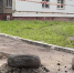 Необычная преграда РегСтройКом - AmurMedia.Ru
