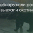 Поделитья во ВКонтакте - Братская Студия Телевидения