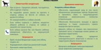 Памятка по обращению с домашними и безнадзорными животными. - Администрация