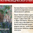Изображение: Амурская областная научная библиотека - Областная научная библиотека им. Н.Н. Муравьева-Амурского