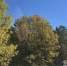Картинка - Regions.Ru