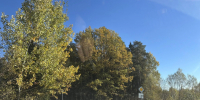 Картинка - Regions.Ru