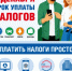Заплатить имущественные налоги гражданам необходимо не позднее 1 декабря - Илишевский район