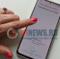 Жулики создали липовые сайты проверки госслужащих - K1News.Ru