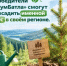 Победители «БумБатла» смогут высадить именной лес в своём регионе - Минэкологии РБ