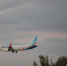 Пилот Flydubai выжил после нападения в воздухе: посольство сообщило о его состоянии - LiveKuban.Ru