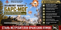 Стань истребителем вражеских птичек! - Газета Грани