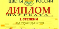 Цирковой коллектив из Кинешемского района завоевал награды Всероссийского фестиваля в Выборге - Кинешемский муниципальный район