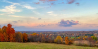 landscape-meadow-with-green-fields-autumn-trees-sunny-day - ТРК Щелково