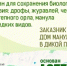 В Бурятии реализуется проект по сохранению манула - Министерство природных ресурсов и экологии