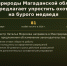 Минприроды Магаданской области предлагает упростить охоту на бурого медведя - Министерство природных ресурсов и экологии