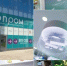 Около 100 компаний представят свои разработки на форуме «Биопром» в Геленджике - Газета Краснодарские известия