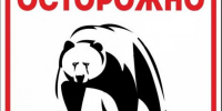 Осторожно - медведи! - Северо-Эвенский городской округ