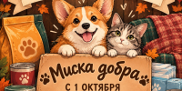 Благотворительная акция “Миска добра”: поможем тем, кто ждёт заботы - Управление культуры и туризма