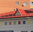 Железногорцы просят снять аиста с крыши детсада - Zhel.City