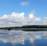 Новости подводной жизни Верхнеяузского водно-болотного комплекса - Национальный парк Лосиный остров