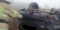 В Богатовском районе при съезде легковушки в кювет погиб водитель - Волга Ньюс