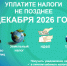 Уплатите налоги до 1 декабря. - Кирово-Чепецкий район