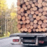 Лесовоз Volvo принял удар эвакуатора на "Коле". Пострадал водитель - 47 новостей