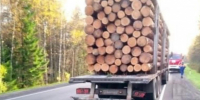 Лесовоз Volvo принял удар эвакуатора на "Коле". Пострадал водитель - 47 новостей