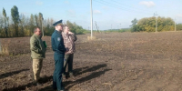 В Белгородской области создадут лесосеменные плантации дуба и сосны - Сетевое издание Победа 31