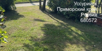 Благоустройство территорий: итоги прошедшей недели - Администрация Уссурийского городского округа