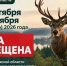 В Калужской области охота приостановлена с 28 сентября по 10 октября 2026 года включительно - Газета Козельск